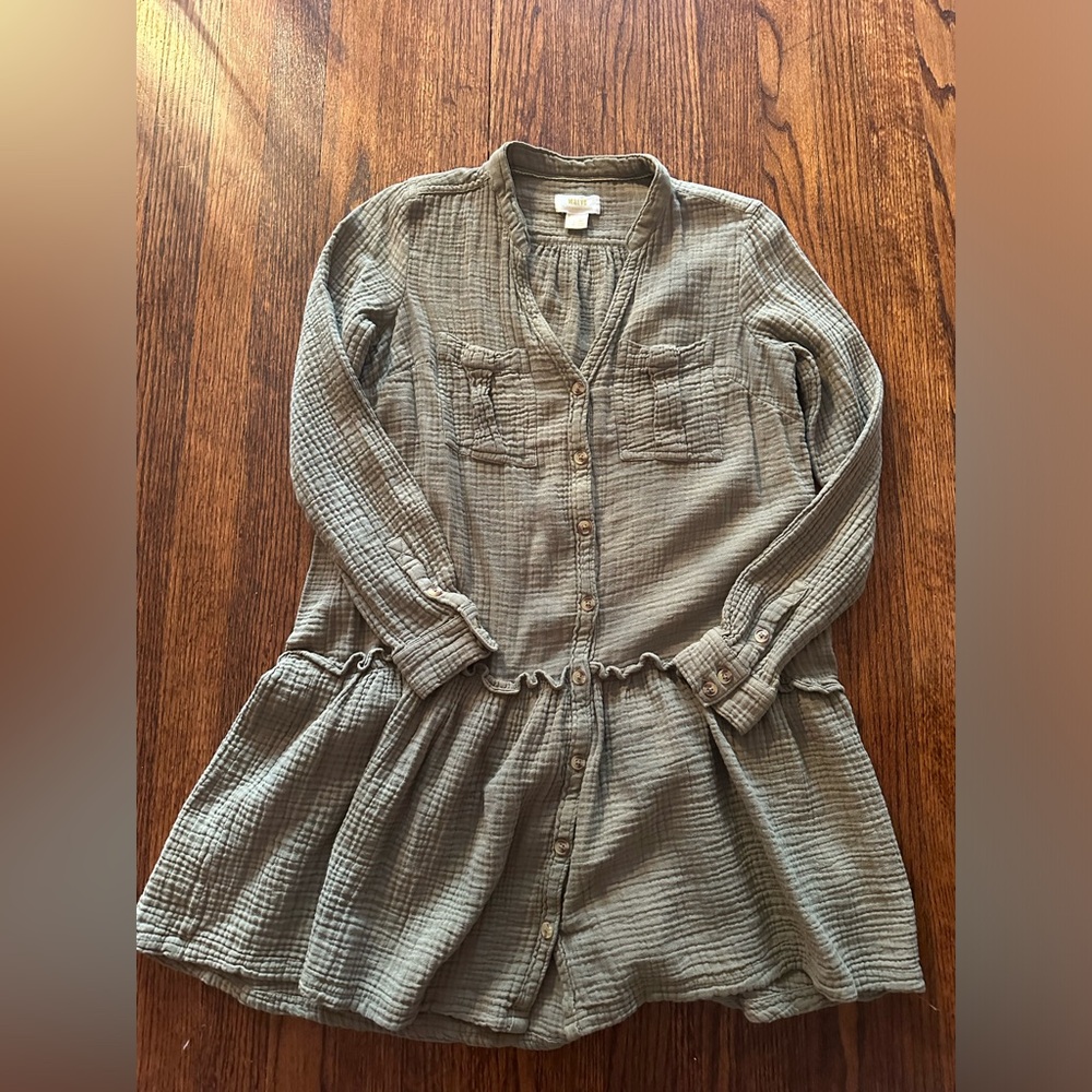 Maeve long sleeve dress